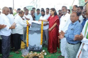 పెద్దమ్మగడ్డ ప్రజలకు వైద్య వరం